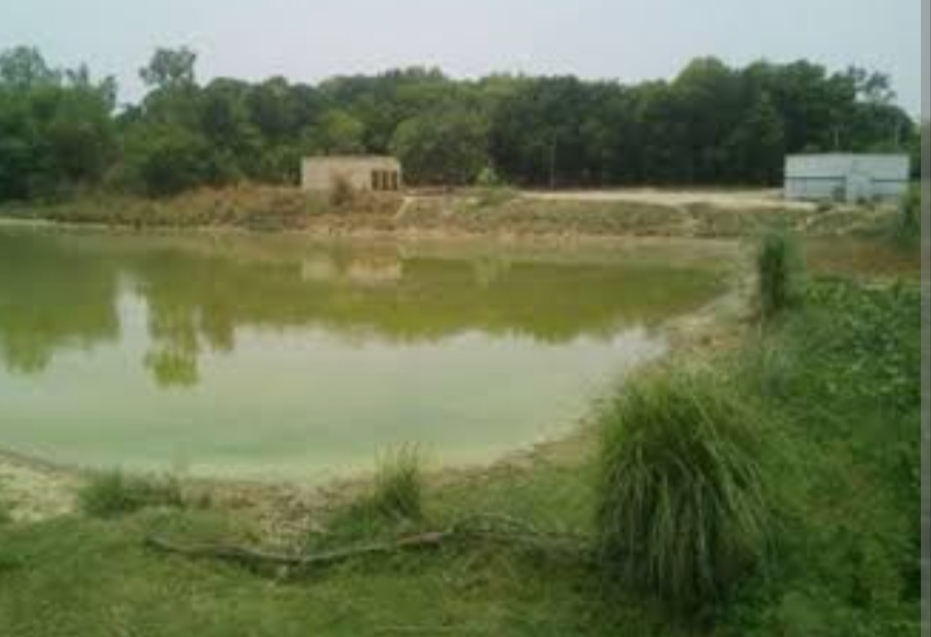 विभिन्न ग्राम के तालाबों का साफ सफाई